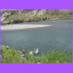 A Place For a  Picnic.jpg